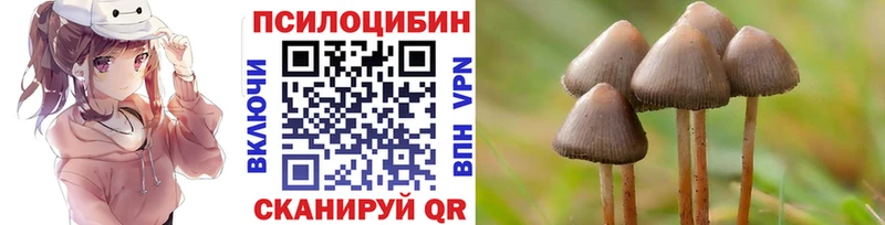 Псилоцибиновые грибы мухоморы  Купить  Новокубанск 